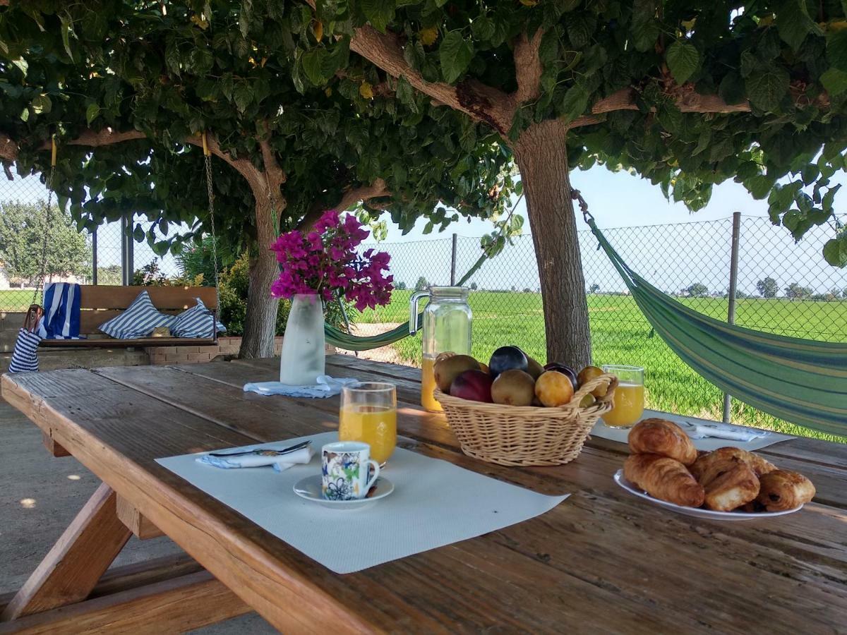 Caseta Rovira Deltebre Εξωτερικό φωτογραφία