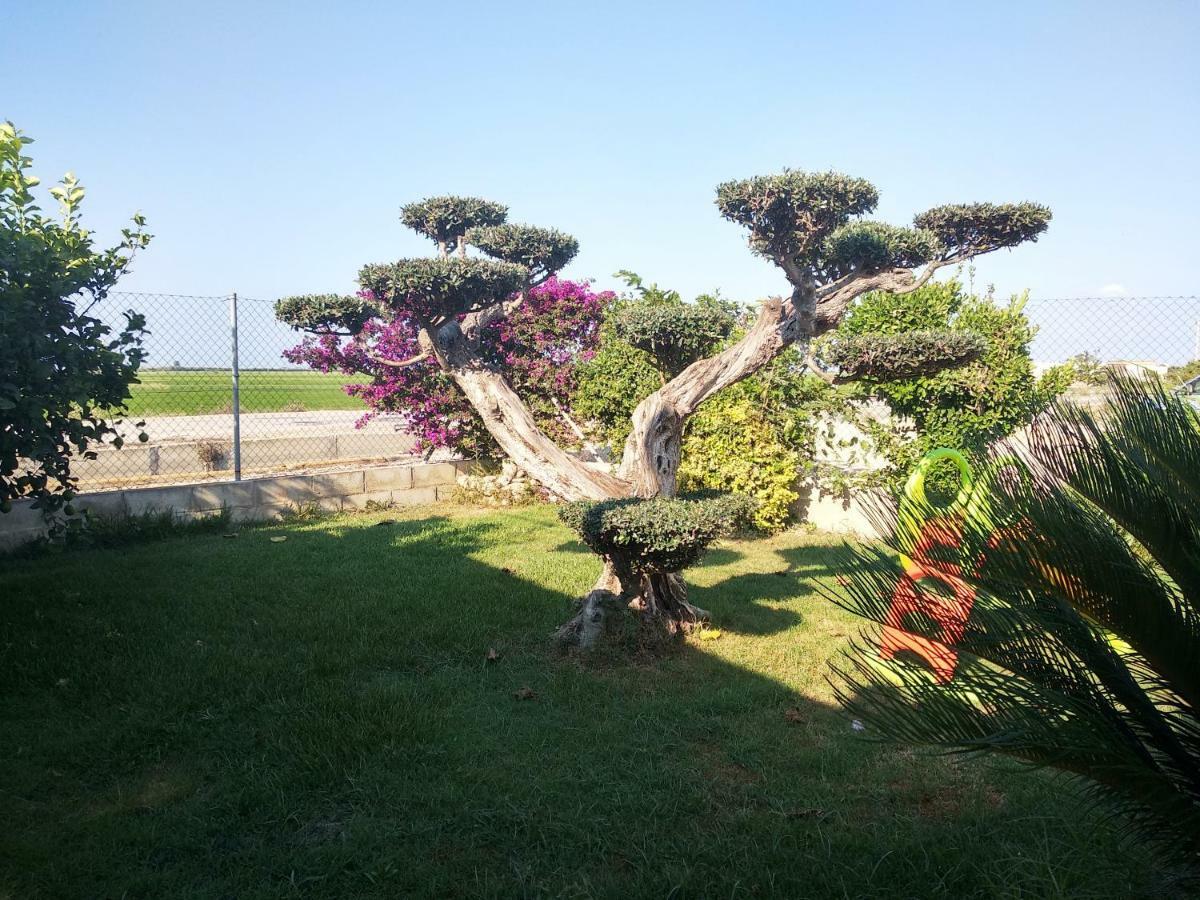 Caseta Rovira Deltebre Εξωτερικό φωτογραφία