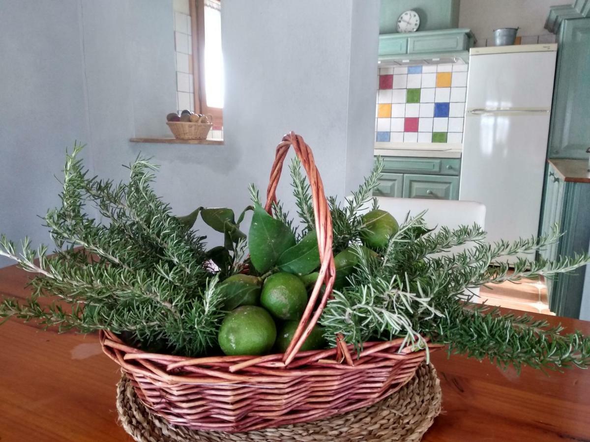 Caseta Rovira Deltebre Εξωτερικό φωτογραφία